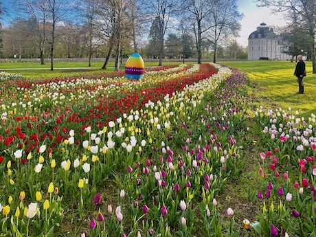 Un ruban de 500000 tulipes dans les jardins du château de Cheverny le 28 mars.